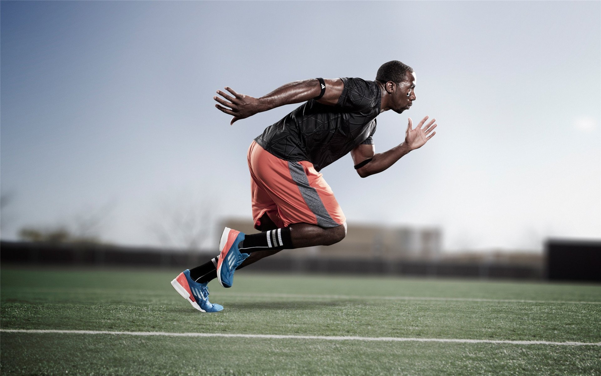 开云体育登入口-世界拳击冠军争霸夜上海收官，世界拳击大赛视频